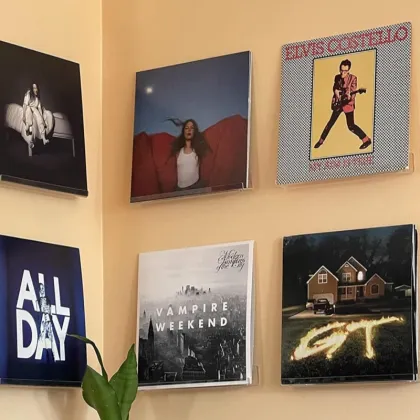 Acrylic Record Wall Rack