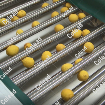 Machine de classement à rouleaux de quatre taille pour la transformation des aliments