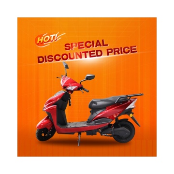 1000W Racing Electric Motorcycle - Fast & Powerful 2-Person City Ride