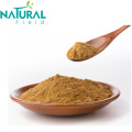 Natural Body Enhancement Gingko Biloba Leaf Extract