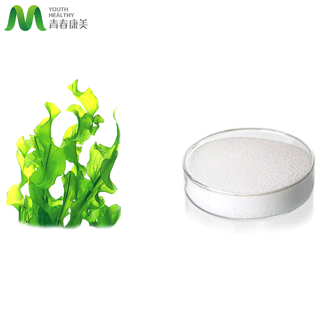 Mesh Powder d'alginate de sodium de qualité industrielle pour l'impression