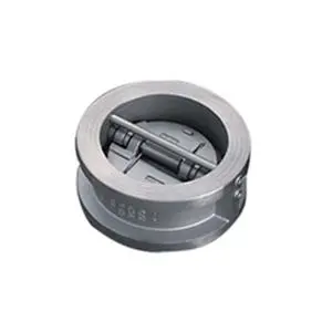 Dual Plate Check Valve 10 Inch