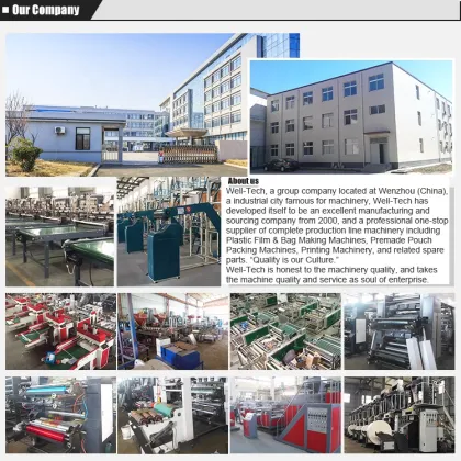 Wenzhou Automatic Ziploc Slider LDPE PE Zipper Storage Gallon Bag Making Machine