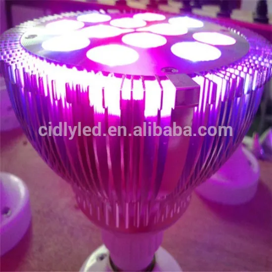 2015 New Hot Sale LED Grow Light E27 Par 38 For Hydroponic & Greenhouse