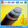 110KV Grade and 220KV High Voltage insulated cable