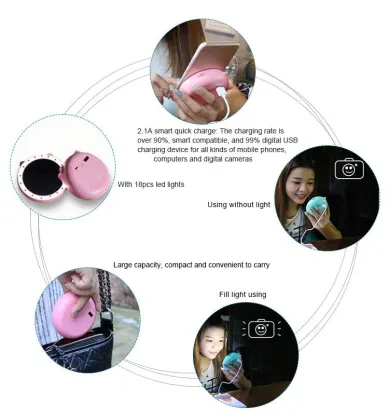C&C Travel Portable Folding LED Magnifying Makeup Mirror