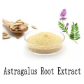 Amostra grátis astragalus orgânica extrato em pó