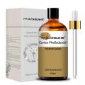 Óleo de extrato puro Phellodendron Amurense Bark e Cortex Phellodendri Oil