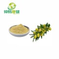 Olive Extract Powder Oleuropein 20%