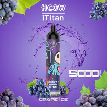 Newest HCOW iTitan 5000puffs Rechargeable Disposable Vape