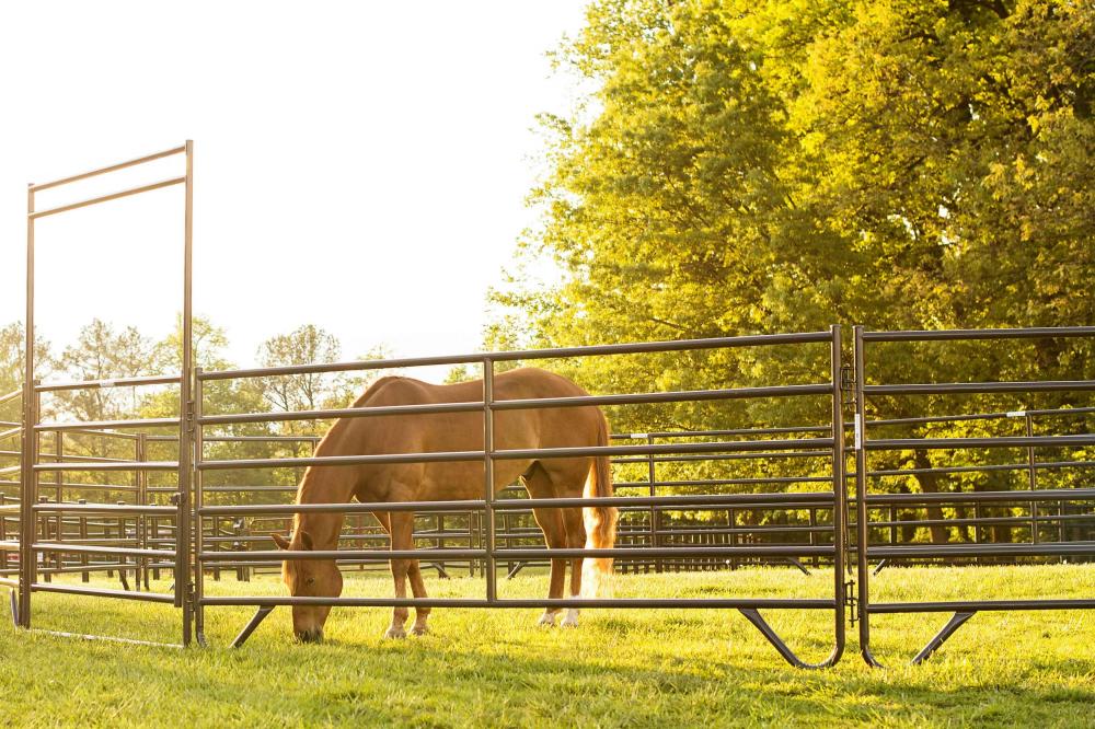 High quality livestock panels used horse fence panels