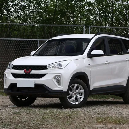 Family car Wuling Hongguang S3