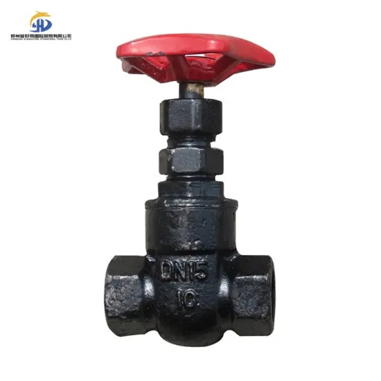 25mm Pipeline Threaded End Gate Valve