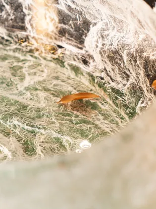 Jasper Basin Crystal Transparent Stone Textured Leaf