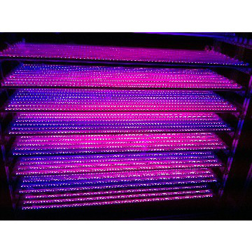 T8 18W Waterproof 120cm LED Grow Tube Light