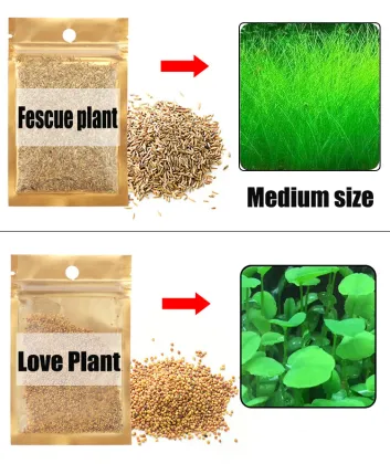 Quality Aquarium Real Aquatic Plants