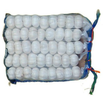 Chinese pure white garlic