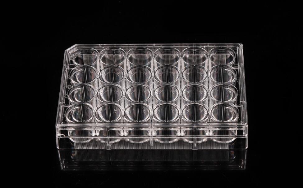 Cell Culture Plates Cell Culture Plates