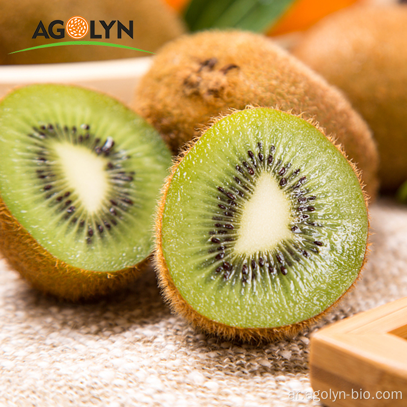 مزرعة بالجملة عالية المستوى OEM KIWI الفاكهة