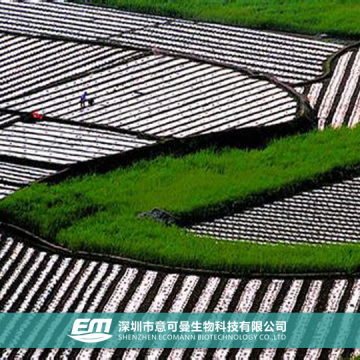 Top 1 Biodegradable Agricultural Film Manufacturer in China