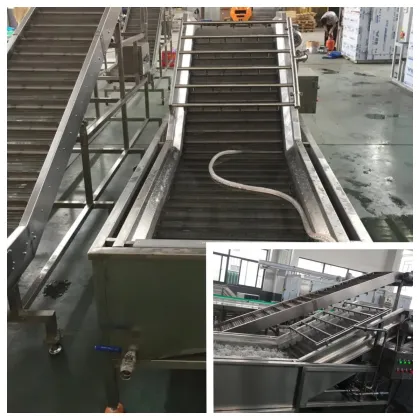 Vegetable Bubble Washer: Fruit Washing Machine & Fresh Fruit Washer