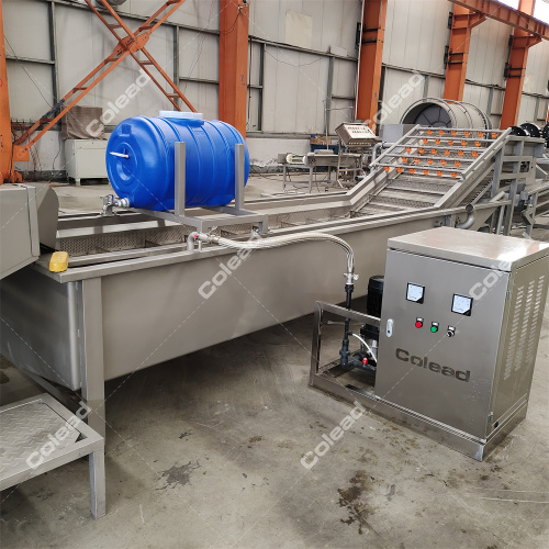 Commercial Beets Bubble Washing Machine for vegetable