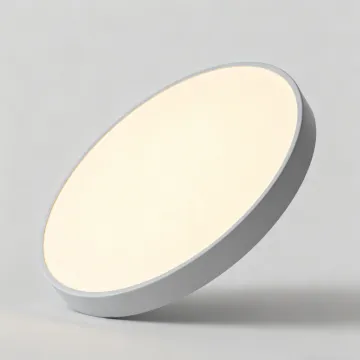 Modern Round 18W Ceiling Light for Home Decor
