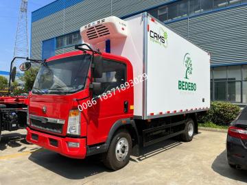 HOWO 4*2 Refrigerator truck/refrigerator wagon/chill car