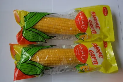 Sweet Corn in Jilin