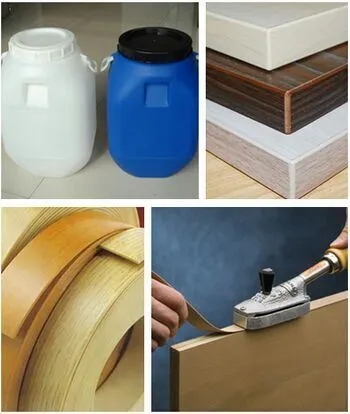 Door with a Multilayer Adhesive