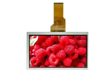 Rg070cst-10 with 800*480 Resolution Display 50 Pin Connector 7 Inch LCD Screen