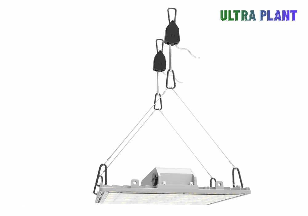 Full Spectrum Growing Lamp for Greenhouse Plants