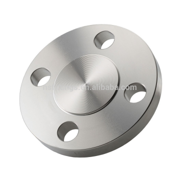 F317L ANSI B16.5 BL Flange RF 150LB 300LB