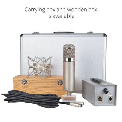 Professional Studio Condenser Tube Microphone - Large 34mm Diaphragm for Metal Recording