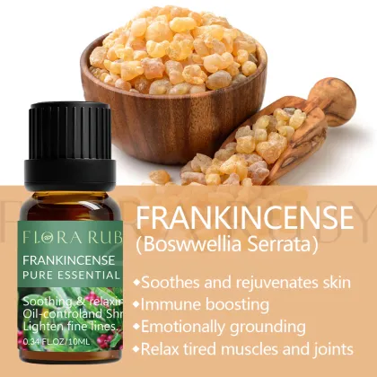 Customize Logo Wholesale Fragrance Oils Tea Tree Essential Aroma Oil