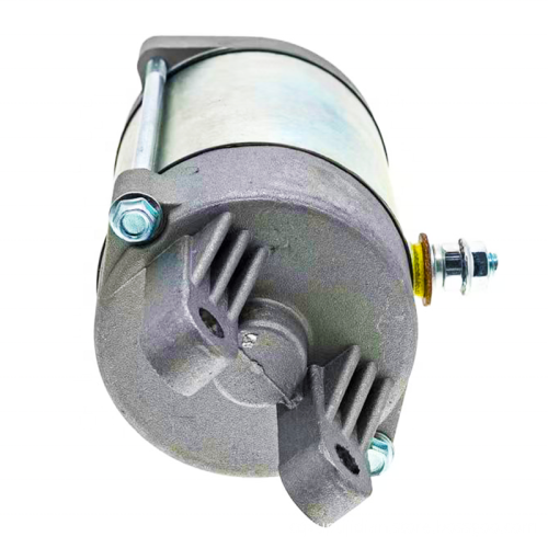 Affordable Starter Motors for Various Motorcycles Including VTS-250, GTS-250, DINK-250, DAFRA NEXT-300 Models