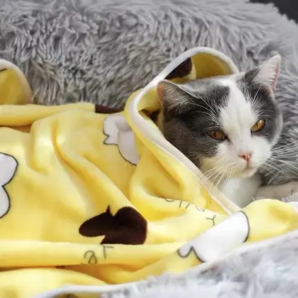 blanket soft and smooth throw blanket pet blanket