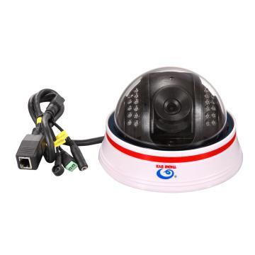 M-JPEG Indoor DOME Network IP Camera with Night Vision