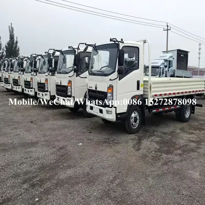HOWO 8T Goods Transport Vehicle Small Logistics Vehicle