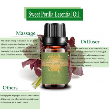 High qualitgy sweet perilla essential oil bulk price