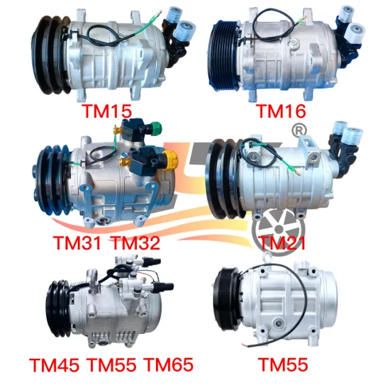 24V Tm31 TM32C 12V/24V Air Conditioning Compressors for Vehicles (TM16, TM21, TM45, TM65, Valeo)