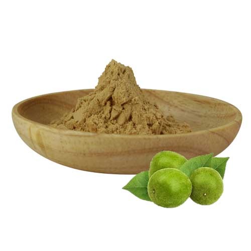 monk fruit extract mogroside luo han guo extract