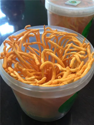 Cordyceps Sinensis Extract Mushroom Polysaccharides