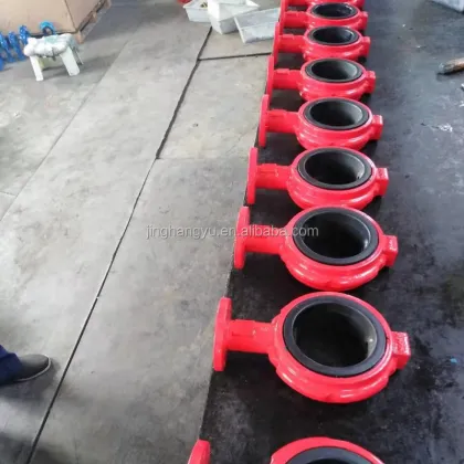 RNW Series Square Stem Notched Wafer Butterfly Valve