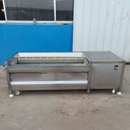 Seafood Cleaning Machine: Stainless Steel Lobster, Crab, Mussel Washer