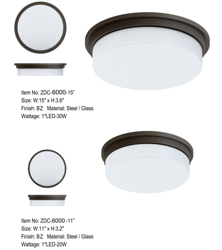 Lighting Product Flush Mount