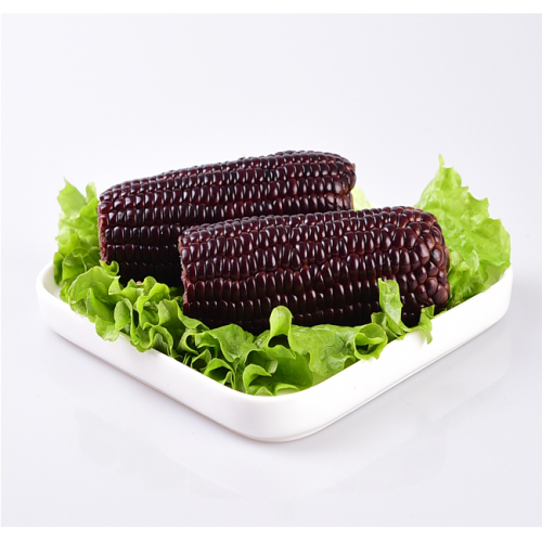 Fresh Black Sticky Corn Cob in vacuum bag