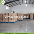 Factory Supply Fruit Bulk Fiyat Goji Berry