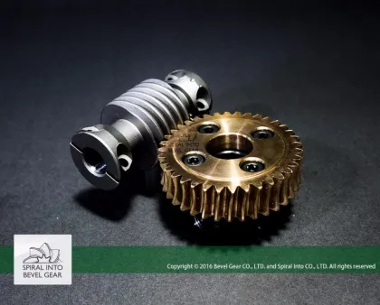 Brass Gears Worm Gear and Worm Set