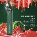 Hot Puff XXL одноразовый Vape Pen 1600 Puffs